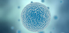 Cellule-240x115 Cellule-240x115