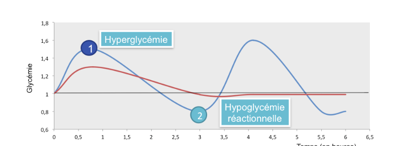Index glycémique, charge glycémique : comment optimiser son poids et son bien-être