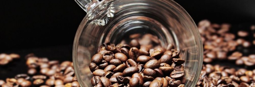 Quel est l’impact écologique de votre café ?