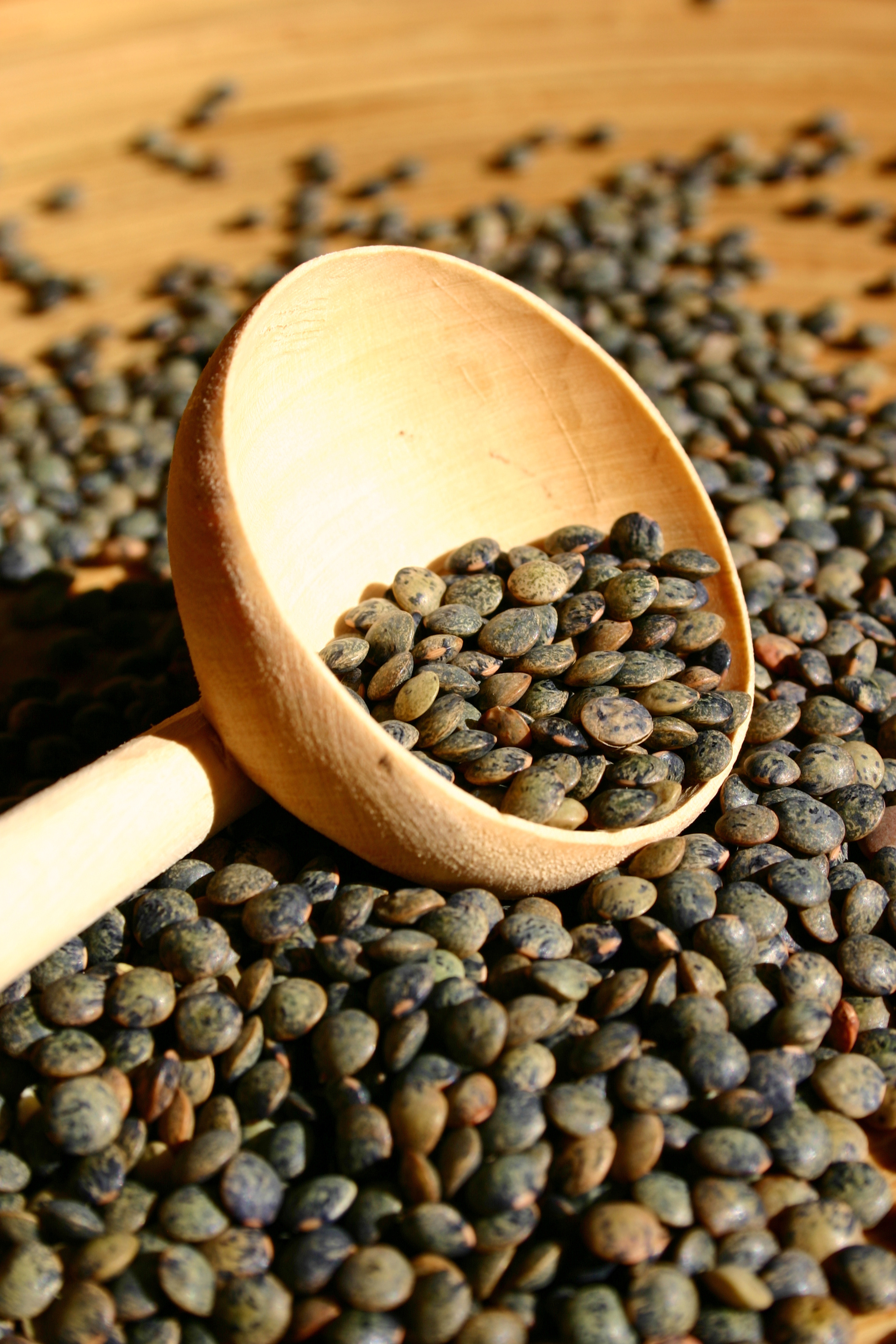 Mangez des lentilles ! santé et nutrition Sante et nutrition