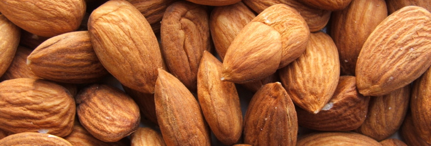 Vous faire plaisir en collation avec des amandes, des noix et du chocolat, vous avez le droit !