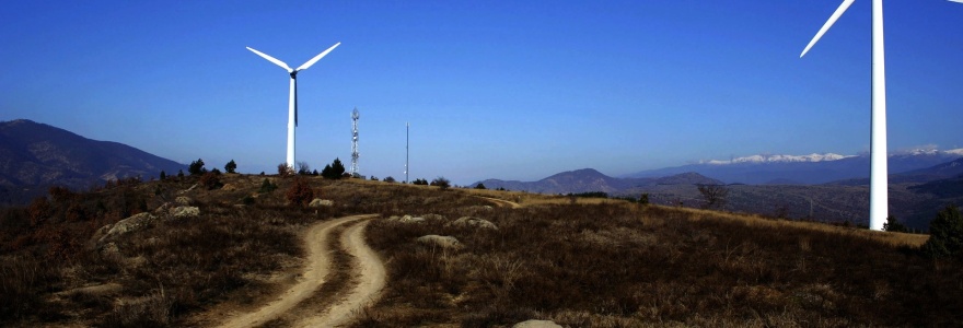 Réduire sa consommation énergétique pour améliorer sa santé dans l’assiette