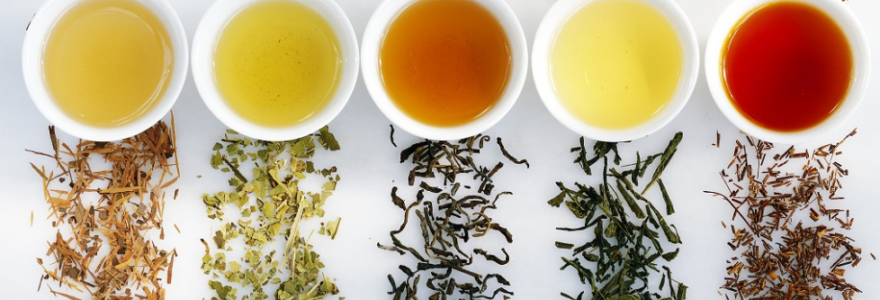 Le thé, une source de propriétés antioxydantes