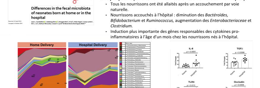 Accouchement à domicile et microbiote