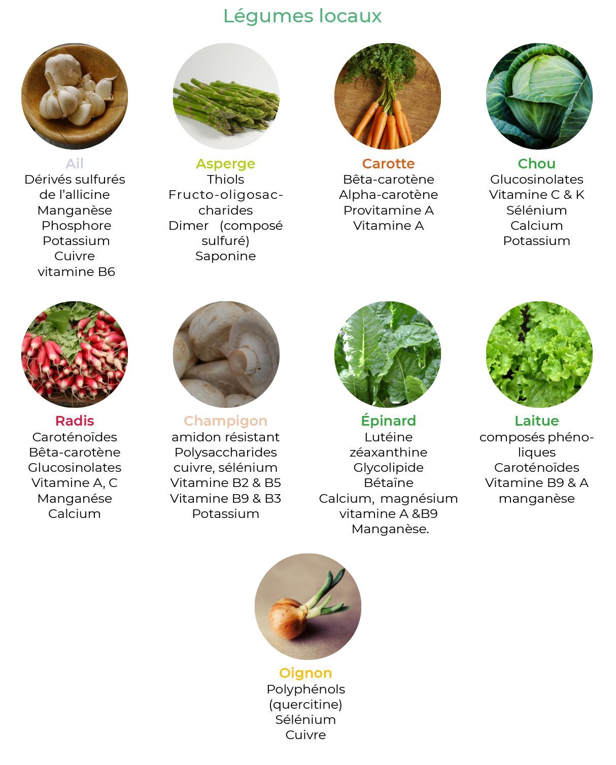 L'ail - Fiche légume, valeurs nutritionnelles, calories, santé