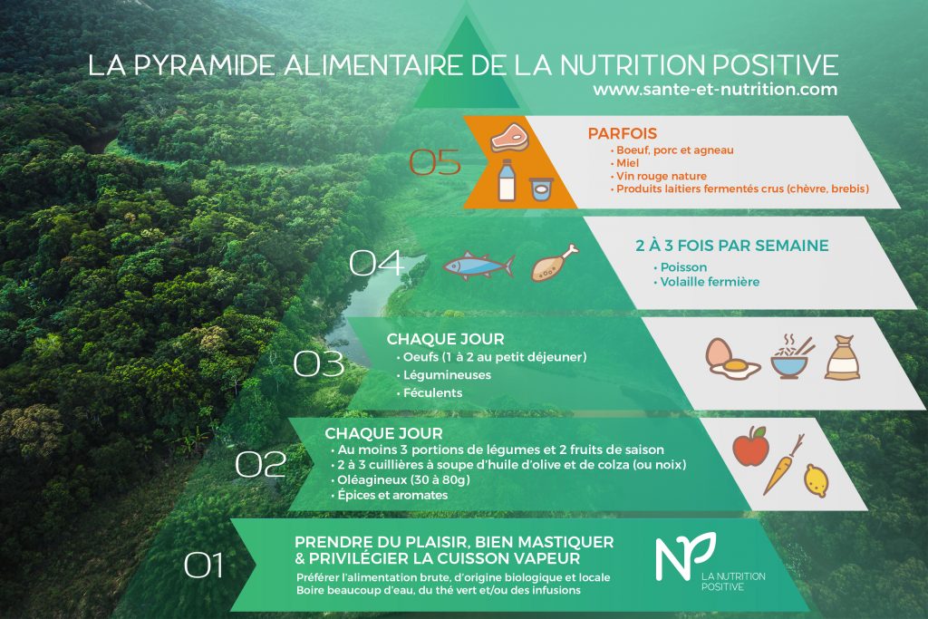 Pyramide nutrition positive