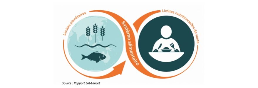 Nutrition et enjeux nutritionnels, une réflexion générale