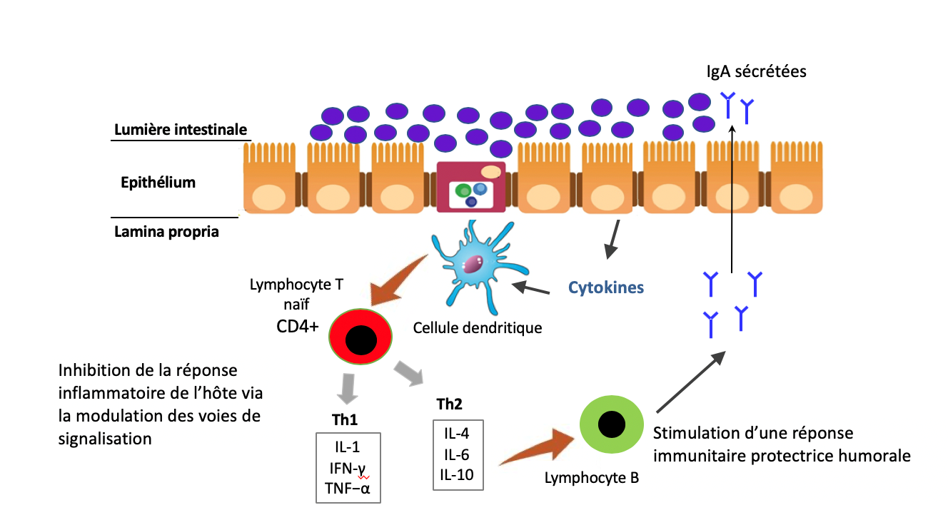 Quelle Alimentation Adopter Pendant Le Coronavirus Covid 19 Sante Et Nutrition