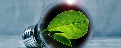 Manquez-vous de coenzyme Q10 ?