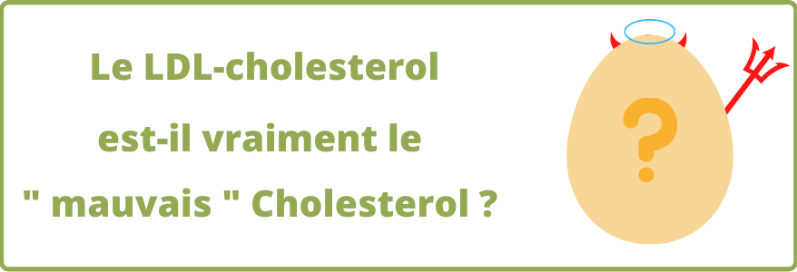 Le LDL-cholestérol est-il vraiment le “mauvais” cholestérol ?