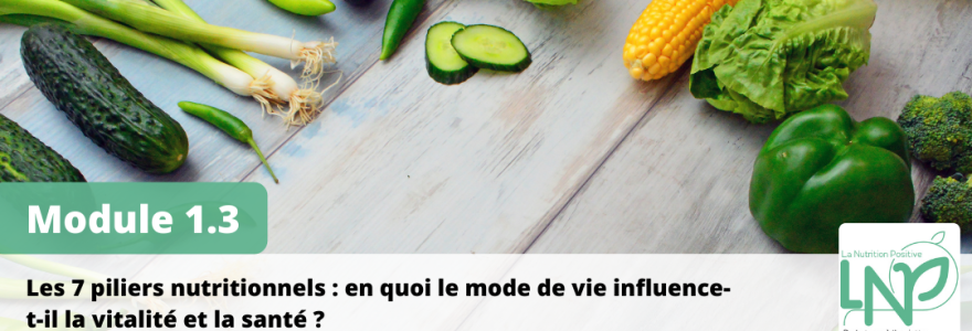 Les 7 piliers nutritionnels : en quoi le mode de vie influence-t-il la vitalité et la santé ?