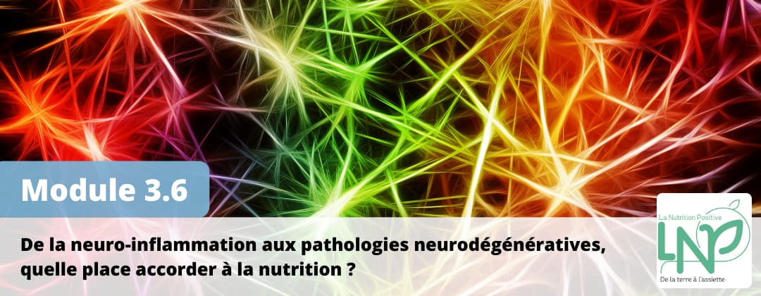 De la neuro-inflammation aux pathologies neurodégénératives, quelle place accorder à la nutrition ?